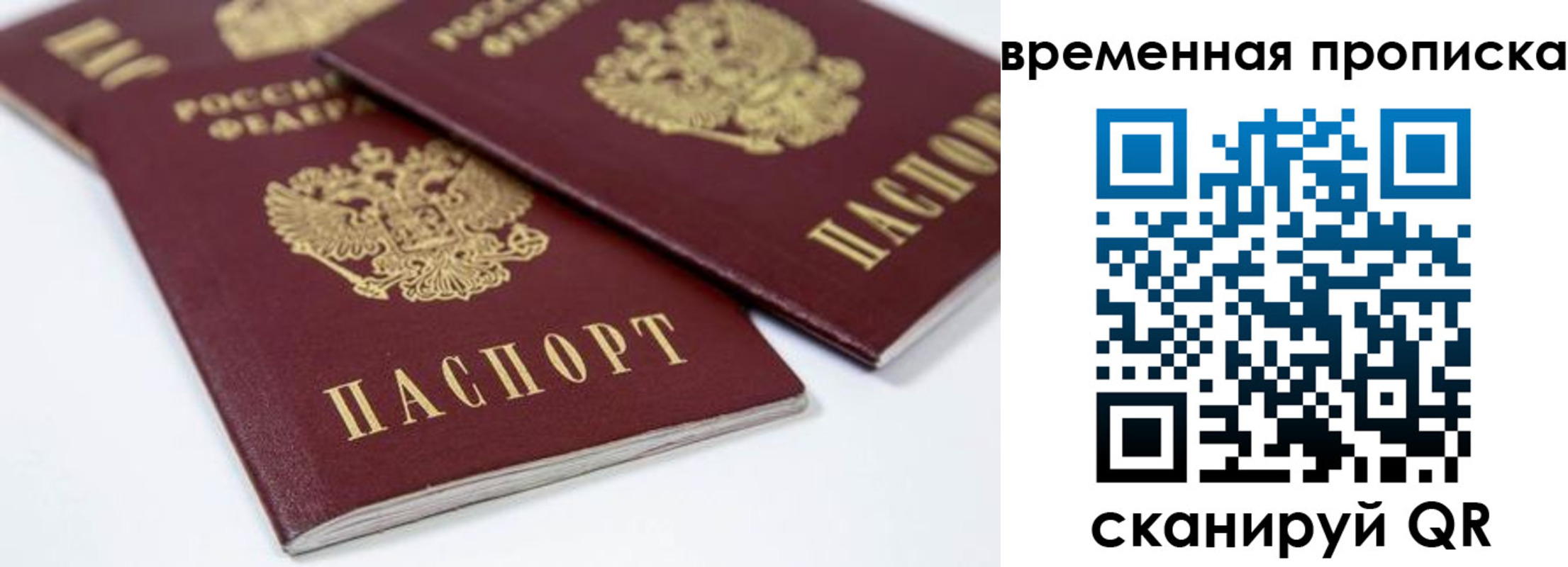 прописка для школы в Артёме